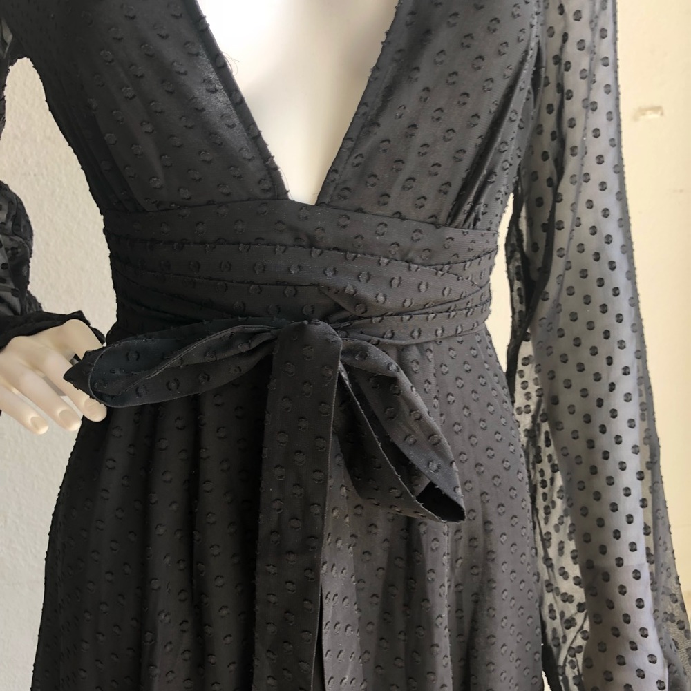 Privacy Please Stockton Maxi Dress Polka Dot Sheer - Picture 6 of 8